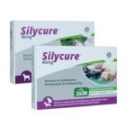 Silycure