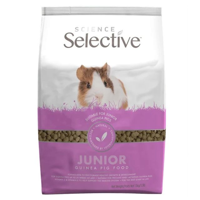 Science Selective Junior Cavia