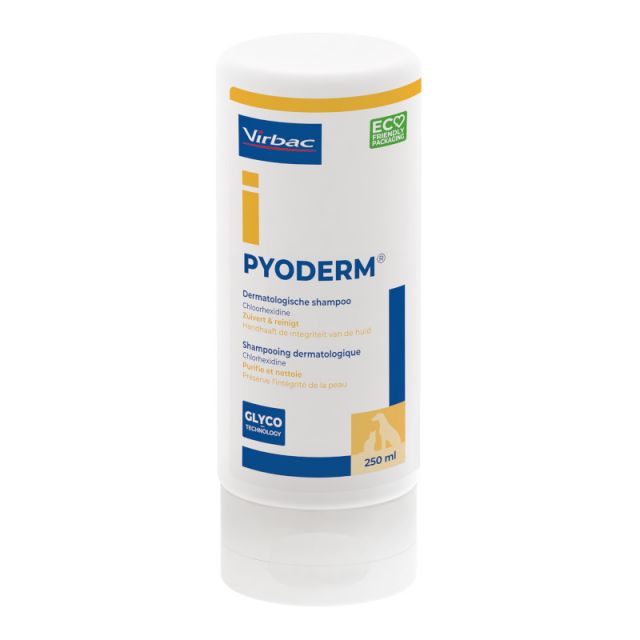 Pyoderm