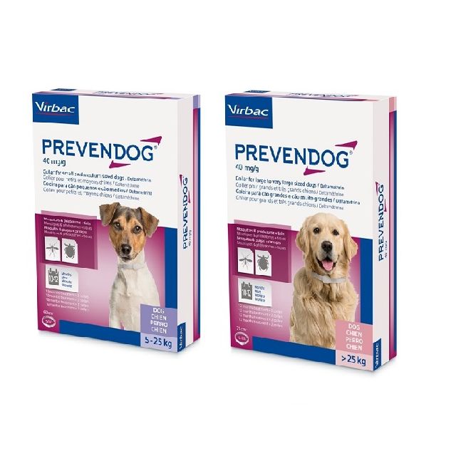 Prevendog