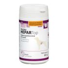 HEPARTop Hund 100 Tabletten