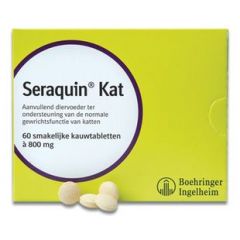 Seraquin Katze